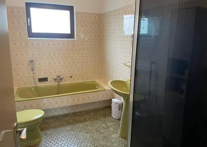 Haus Ehrenfels * 莱茵河畔的宾根